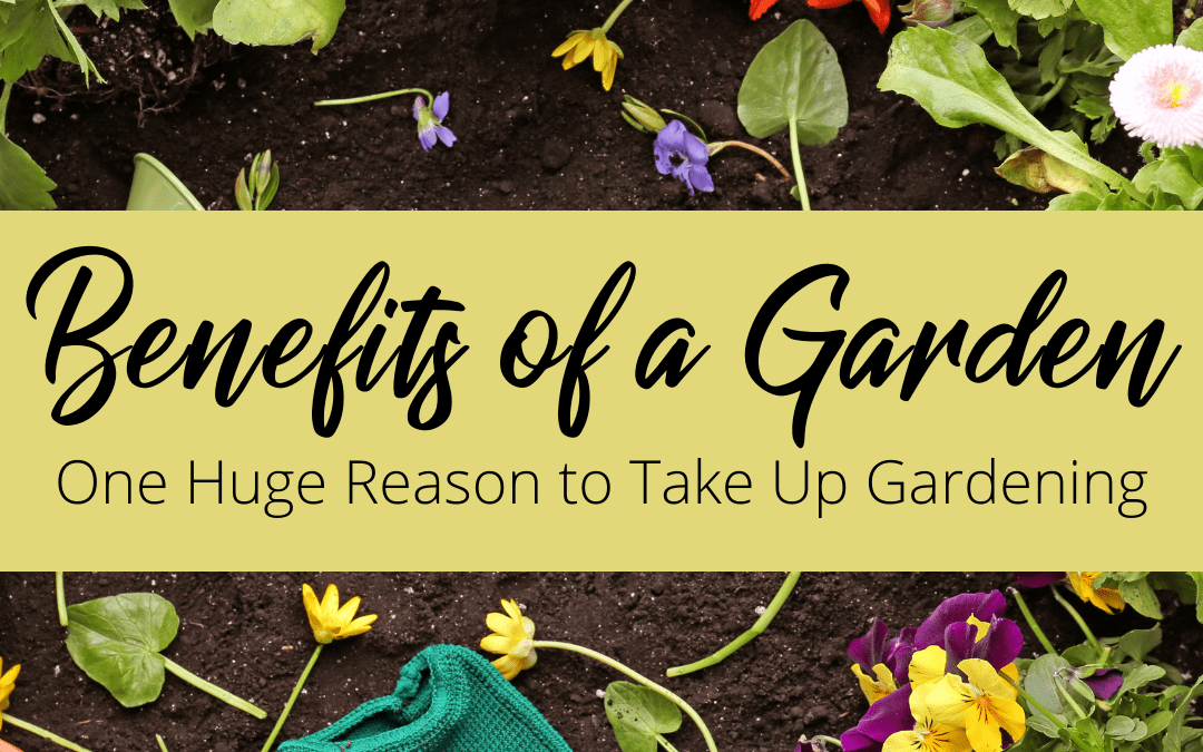 Benefits of a Garden: One Huge Reason to Take Up Gardening