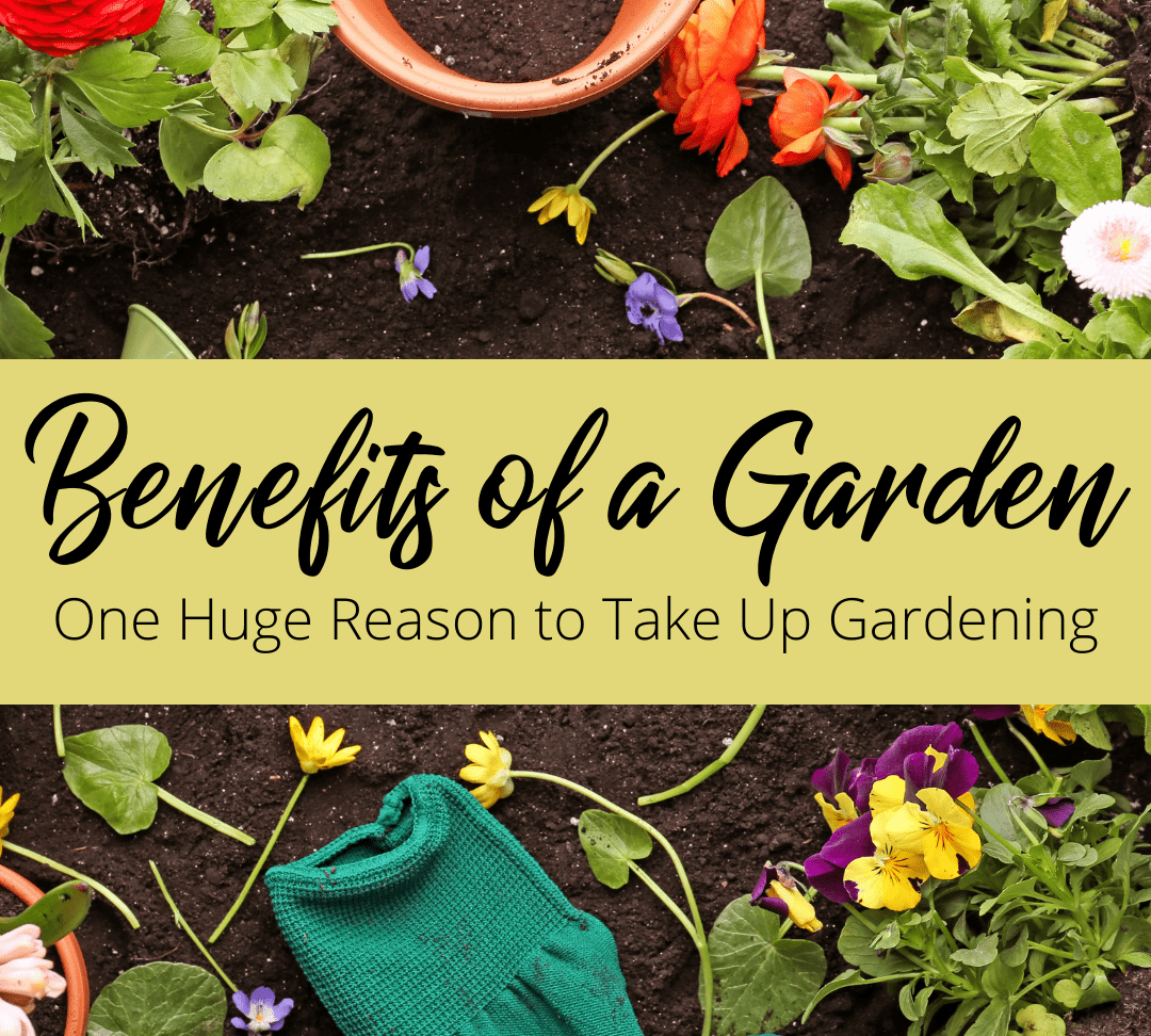 benefits of a garden