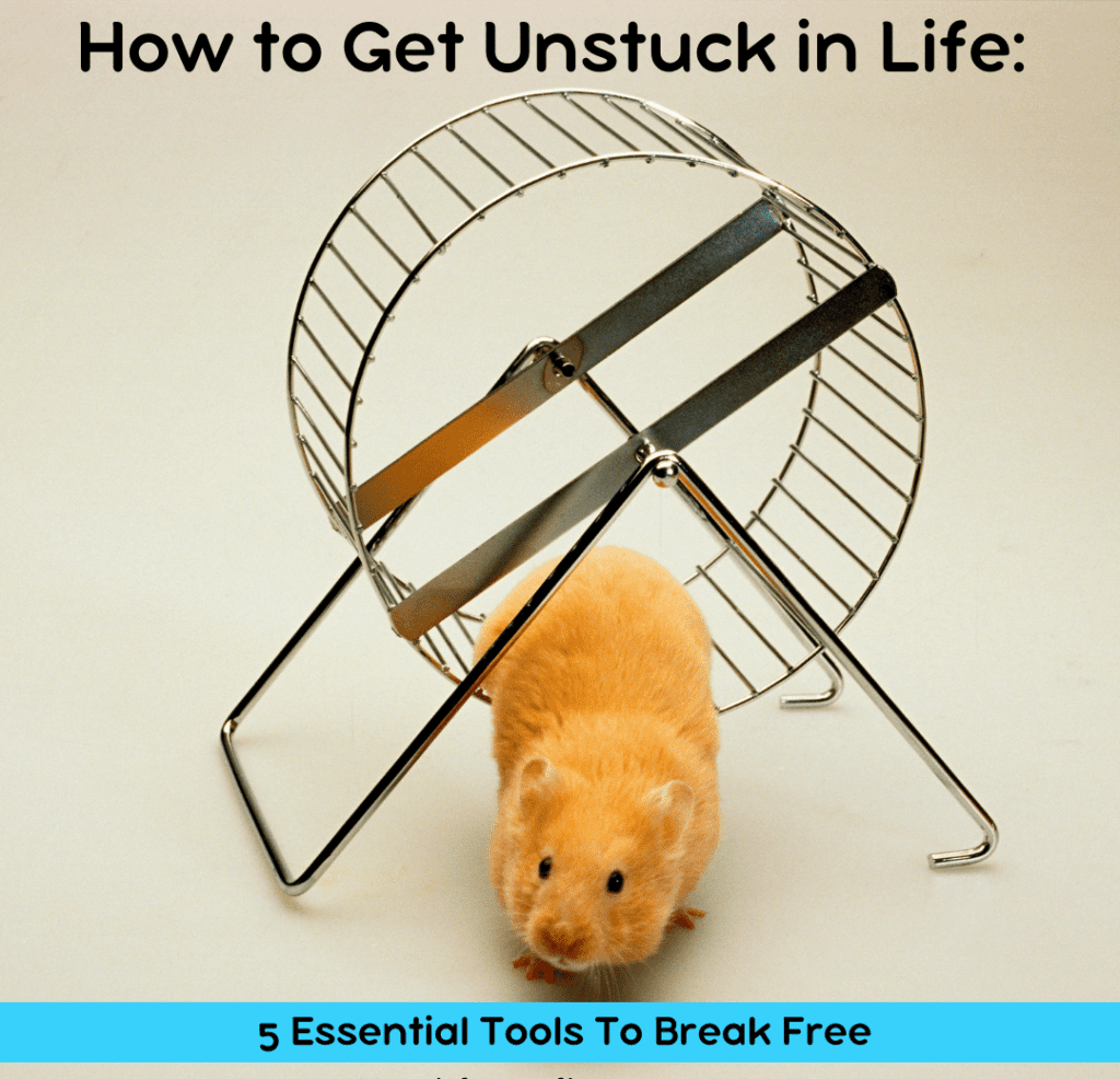 how to get unstuck hamster wheel