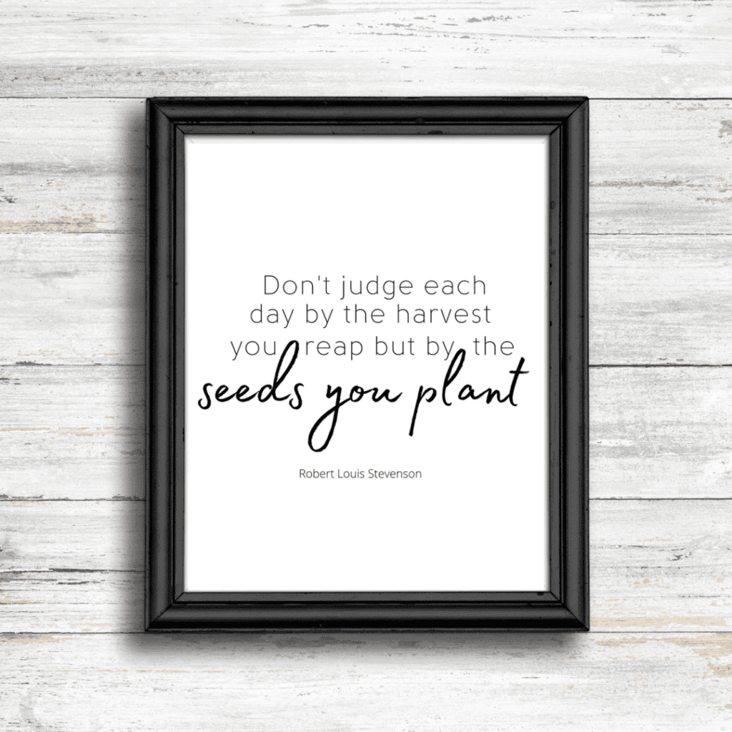 Seeds you plant quote