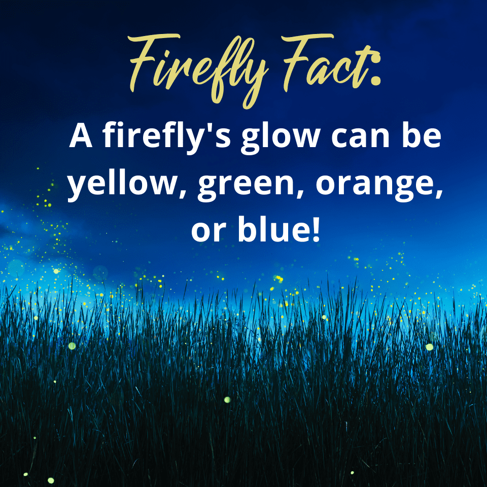 a firefly's glow can be yellow, green, orange, or blue