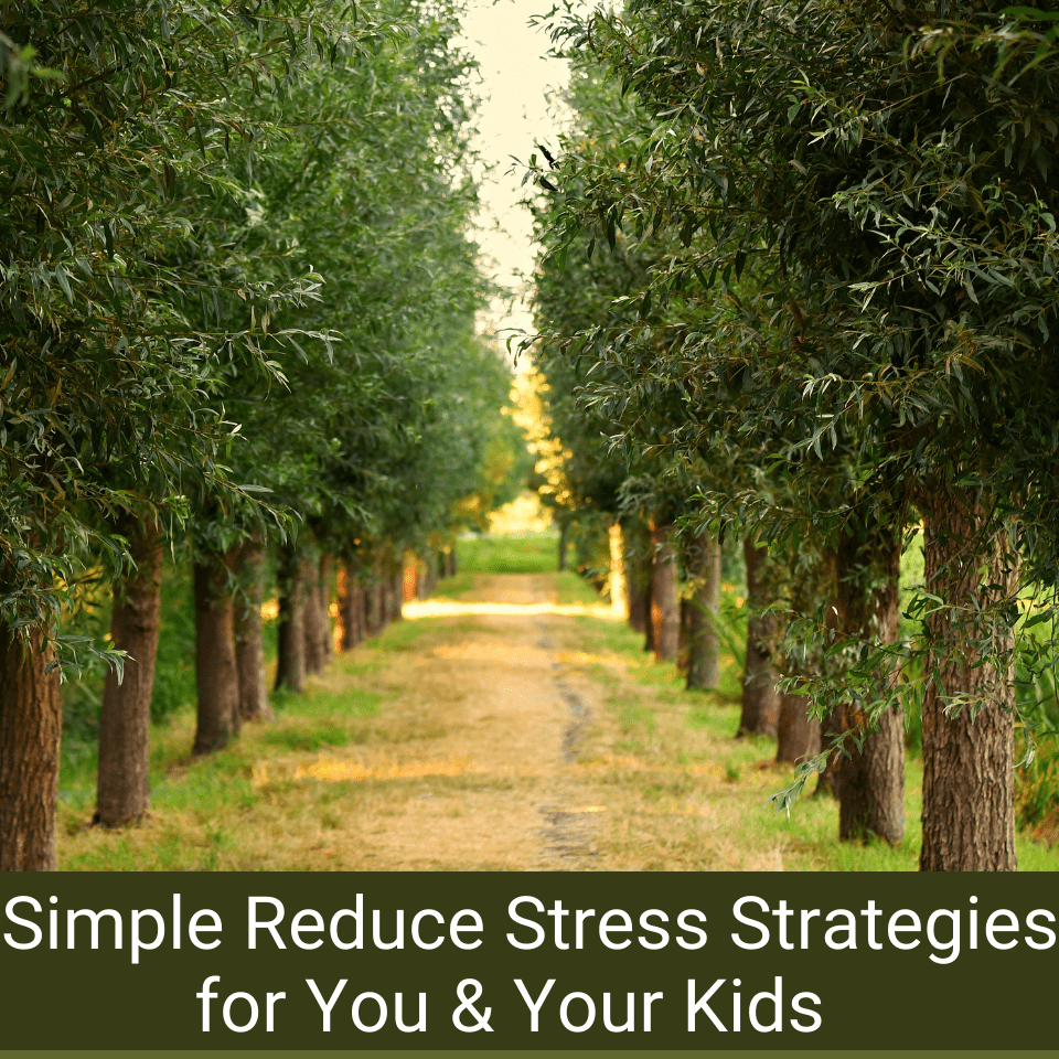 reduce stress strategies trees in path