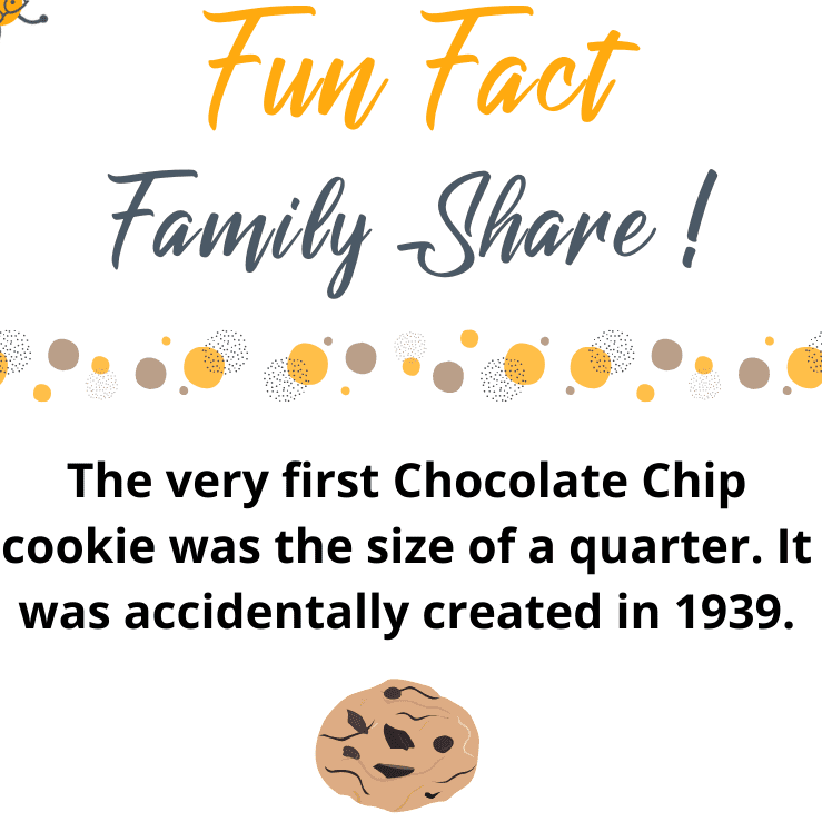 chocolate chip cookie fun fact
